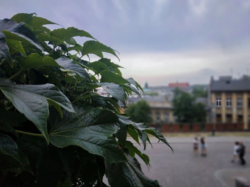 Krakow 🇮🇩