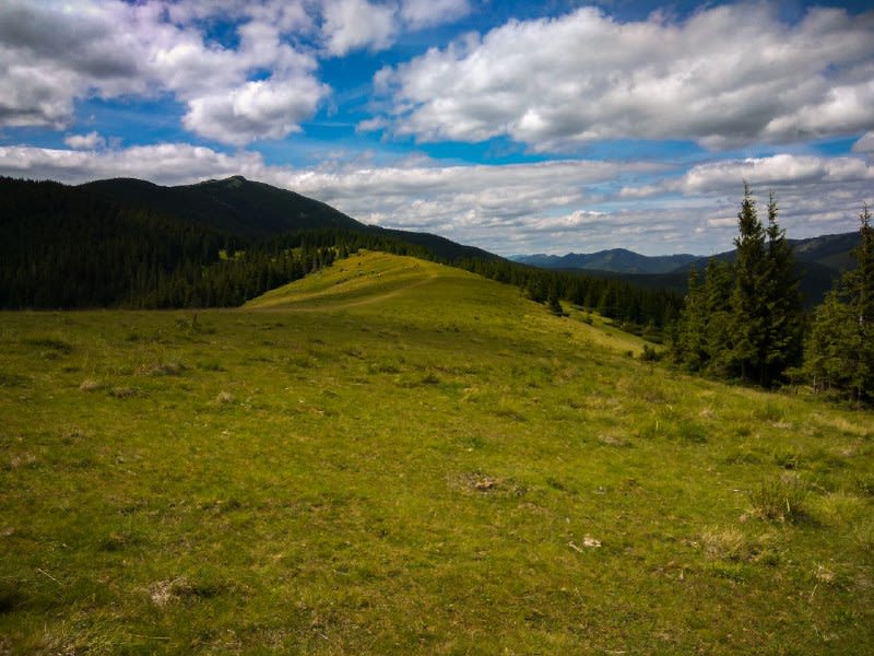 The Carpathian Mountains🏞