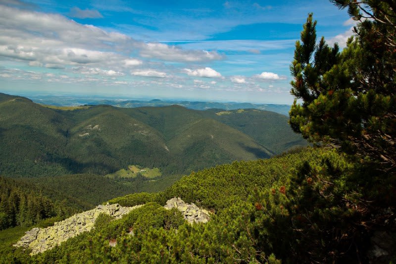 The Carpathian Mountains🏞
