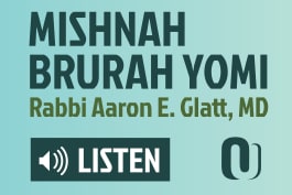 MB3 51b: Borei Pri Hagafen on Kiddush Wine Exempts Wine During Meal ...