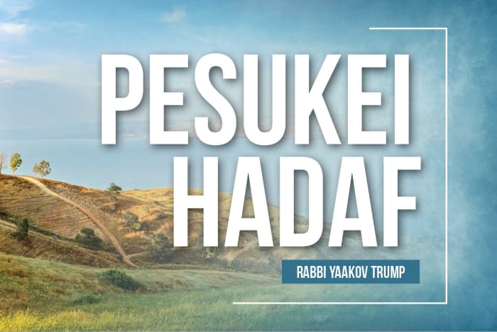 Pesukei-HaDaf