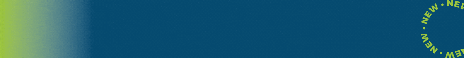 All Parsha Hero image