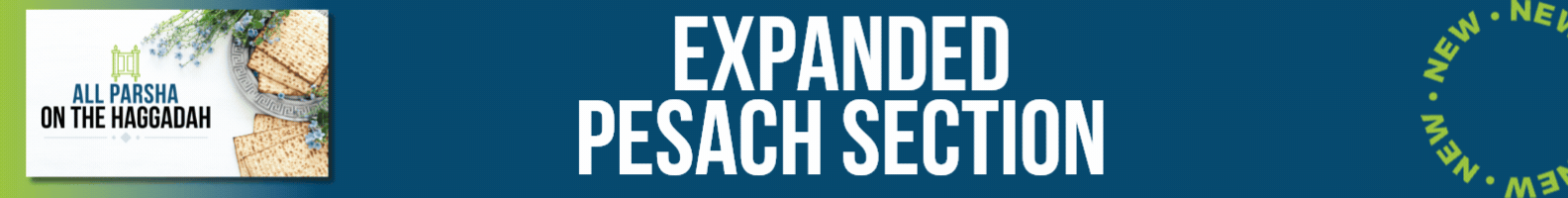 All Parsha Hero image