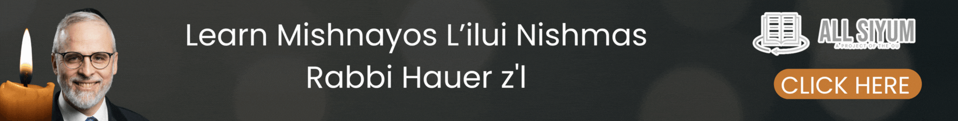 All Parsha Hero image