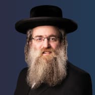 Rabbi Elimelech Friedman image