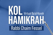 Rabbi Chaim Fessel image