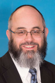 Rabbi Dovid Cohen image