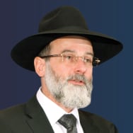 Rabbi Dovid Hofstedter image