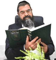 Rabbi Shmuelik Halpern image