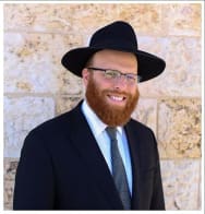 Rabbi Chaim Dov Stark image