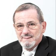 Rabbi Dr. Shnayer Leiman image