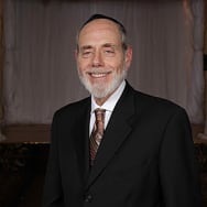 Rabbi Moshe Snow image