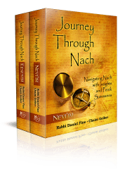 A Journey Through Nach image