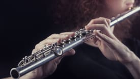 The Music Studio, In-Person Flute Lessons
