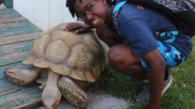 Safari Zoo Camp, Teen Camp