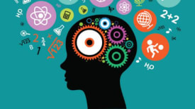 Brain Power Enrichment Programs, Grade 6-8 Think Like A Genius