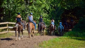 Timberline Ranch, Summer Kick-Off #2 Day Camp (Girls)
