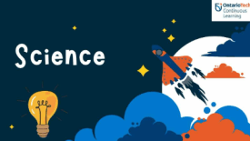 Ontario Tech University Camps, Your Body the Machine – The Science of Kinesiology