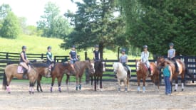 Teen Ranch, English Horseback Riding - Ultimate Day Camp