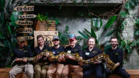 Reptilia Zoo Inc., ReptiCamp - London - PA Day Camp