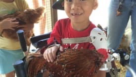 WindReach Farm, Acres of Fun Summer Camp