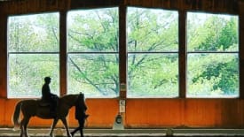 WindReach Farm, Therapeutic Riding Program