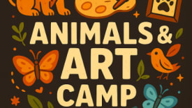 The JunXion, AA Camp For Kids