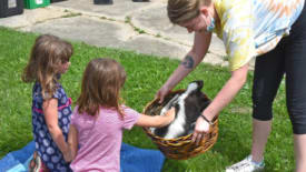 Creative Kids Place, Animal World (4-5)