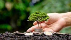 Empower Learning Centre, Financial Literacy Foundations