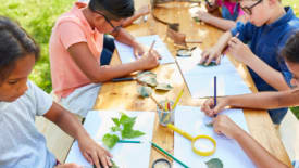 Kids & Company, Creative Canvas Week