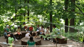 Branksome Camps, Junior Eco Explorers