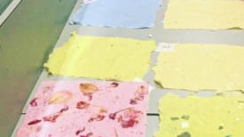Neilson Park Creative Centre, How to Make Paper