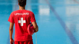 Seal Swimming, Recertification National Lifeguard