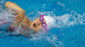 Gee-Gees Sports Camps, Varsity Swim Camp (Introduction Competition)