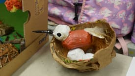 Ottawa School of Art, Our Weird and Wonderful Planet | Ages 8 - 9
