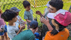 Explorations Learning, Summer Camp: July 5-16, Ages 6-7