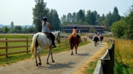 Timberline Ranch, Horsemanship Camp
