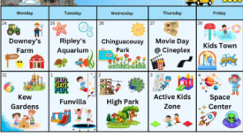 Sunnyside Up Camp, Field Trip Summer Camp
