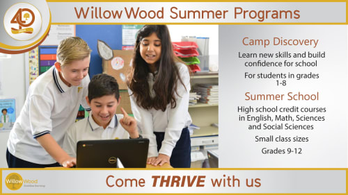 WillowWood School Camp and Summer School, Camp Discovery at WillowWood School