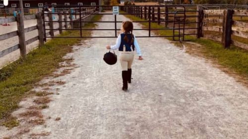 BR Equestrian, Learn to ride horses!