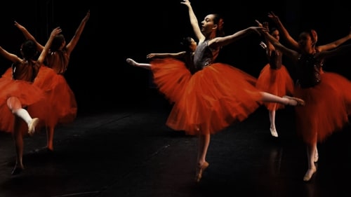 Legacy of Dance Academy, Intro to Dance Ballet for 2-4yrs