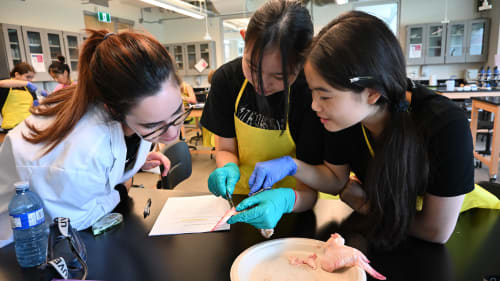 BSS Summer Academy, STEMGirls