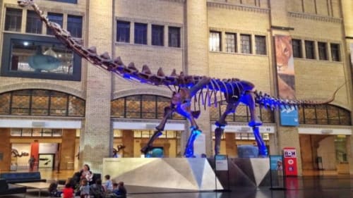 Royal Ontario Museum Kids (ROMKids), Fall Saturday Club (Morning): Against the Current
