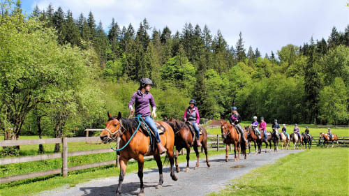Timberline Ranch, Summer Teen Camp (Coed)