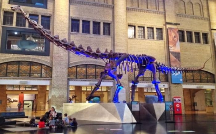 Royal Ontario Museum (@ROMtoronto) / X