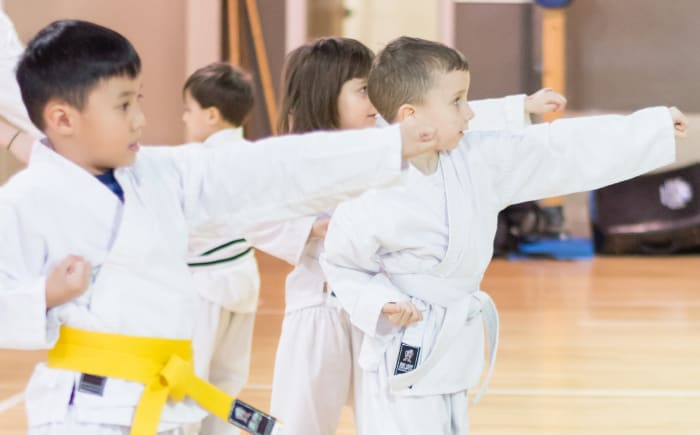 Kids Martial Arts Classes  Super T Karate Grand Rapids