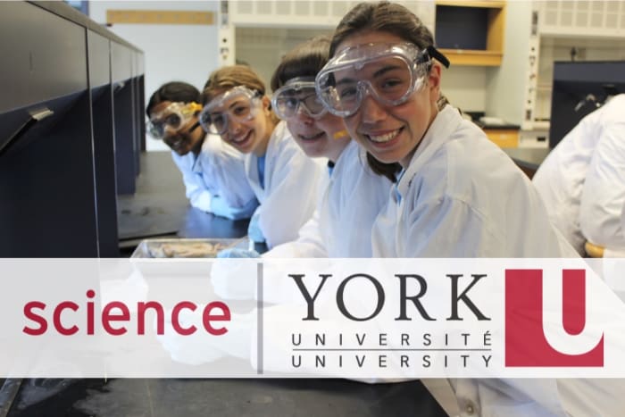 York University; Science Engagement - profile photo