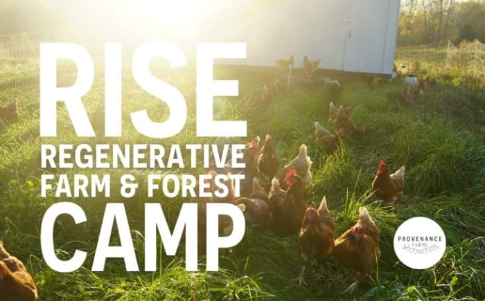 Rise Regenerative Farm & Forest Camp - profile photo