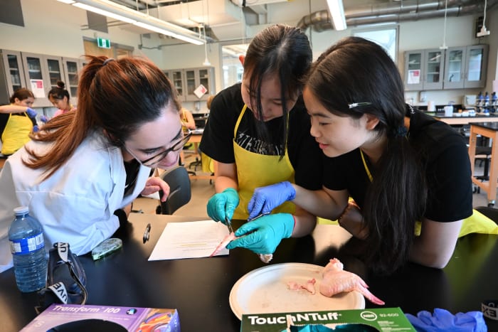 BSS Summer Academy - profile photo