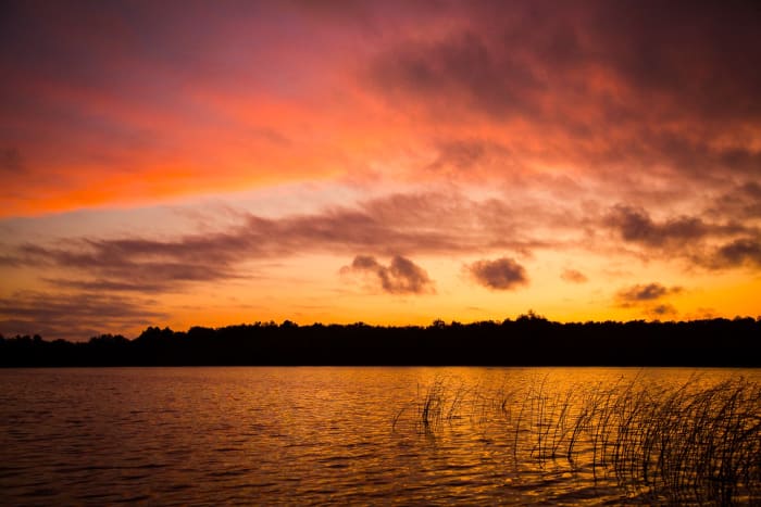 Silver Lake Mennonite Camp - profile photo